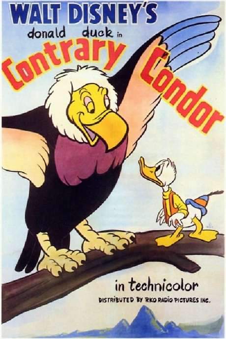 Contrary Condor